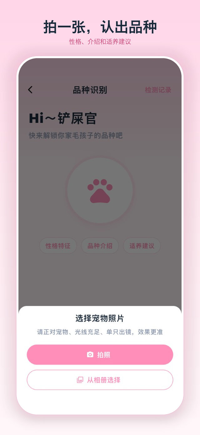 品种识别页，可拍照或从相册选择宠物照片